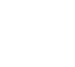 Nova Mentis